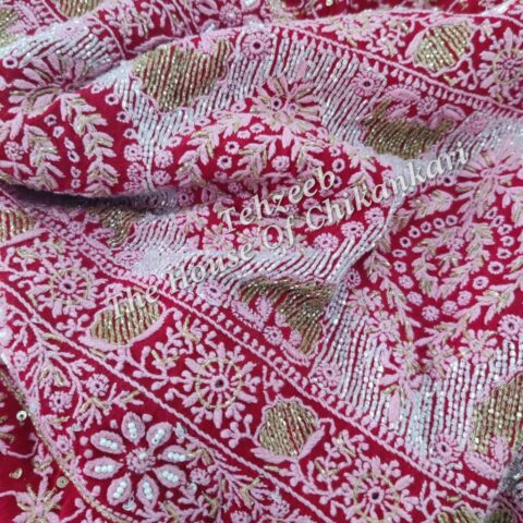 Ek - Do Taar Chikankari Saree, Red with Ivory Embroidery