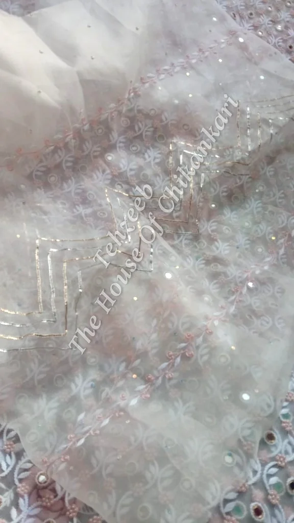Gulabkaari - Organza Silk Ek Taar Chikankari Suit, detail 5