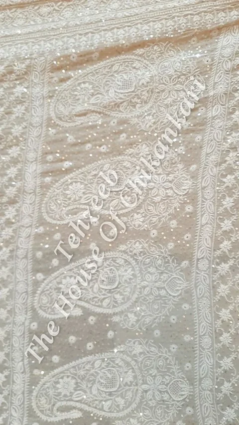 Khwaab -Timeless Ek Taar Chikankari Saree
