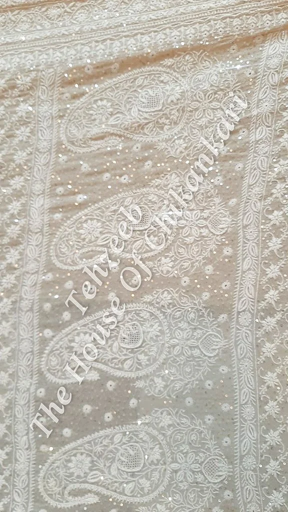 Khwaab -Timeless Ek Taar Chikankari Saree