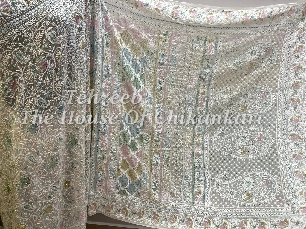 MAHARANI - Designer Ek Taar Chikankari Saree, Ivory with Multicolour Resham, detail 2