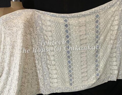 Party Wear Designer Lucknowi Chikankari Saree