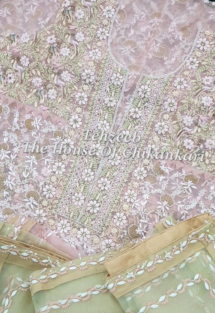 Shahi-Pehnawa Designer Chikankari Suit (Organza Silk / Pure Georgette), Blush Pink Organza, detail 2