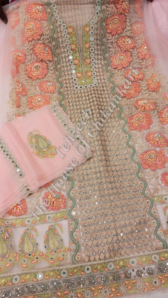Shahi- Pehnawa - Organza Silk Chikankari Suit, detail 3