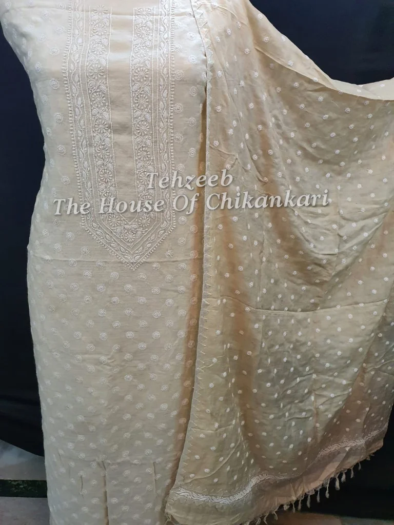 Tissue Silk Chikankari Suit, detail 3