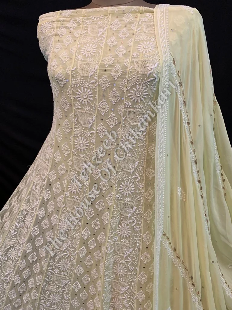 Zardosi Gottapatti Chikankari Anarkali, detail 3