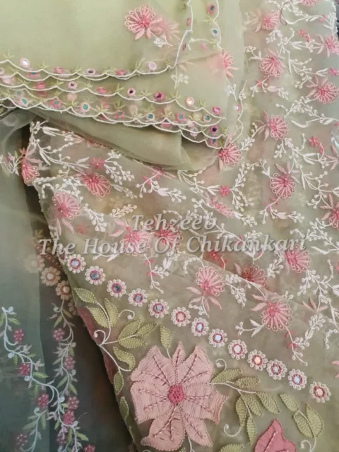 Zardosi Organza Silk Chikankari Suit